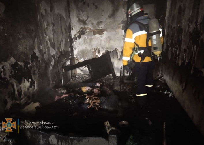 В Запорожье во время пожара умерла 55-летняя женщина (фото)